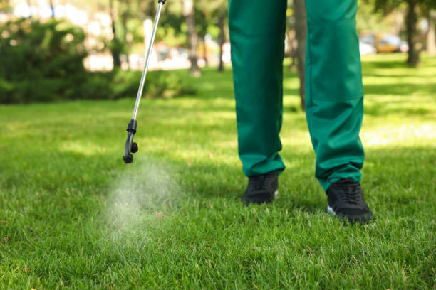 Best Local Pest Control Services  in Vonore, TN