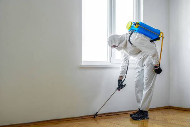 Best Mosquito Control Services  in Vonore, TN
