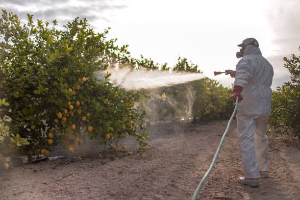 Best Best Pest Control Companies  in Vonore, TN