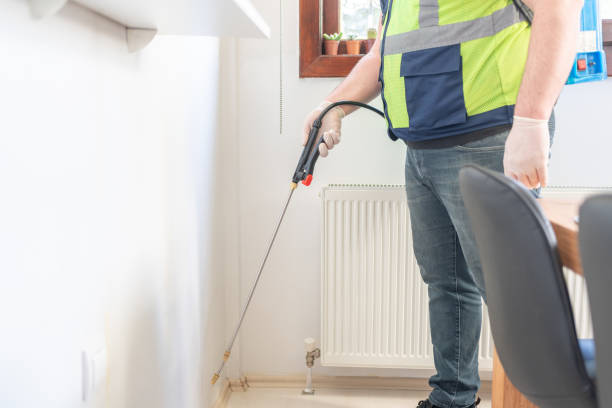 Best Wasp Removal Services  in Vonore, TN