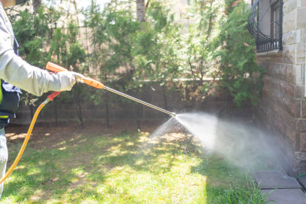 Best Emergency Pest Control  in Vonore, TN