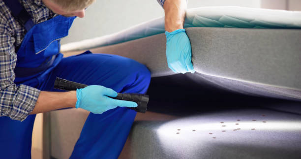 Trusted Vonore, TN Pest Control Experts