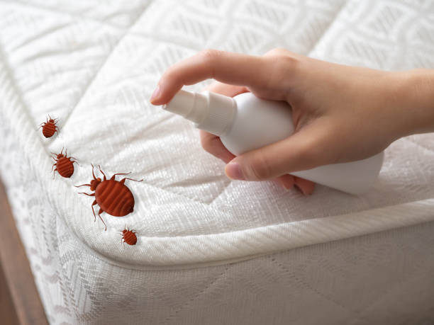 Best Ant Control Services  in Vonore, TN