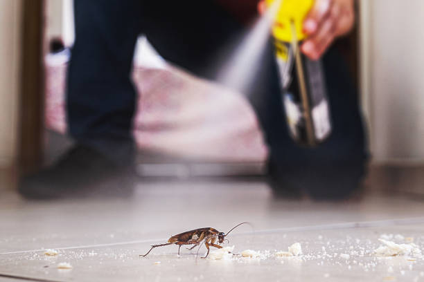 Best Wildlife Control Services  in Vonore, TN