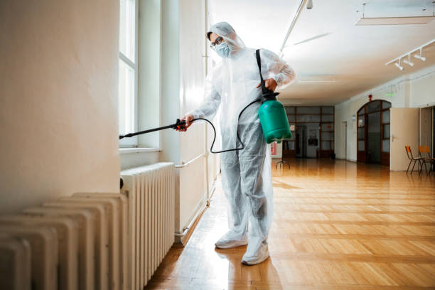 Wasp Removal Services in Vonore, TN