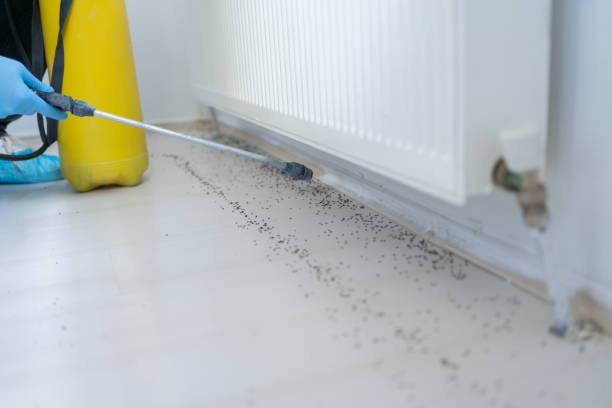 Best Commercial Pest Control Services  in Vonore, TN