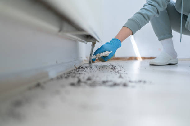 Best Pest Removal Services  in Vonore, TN